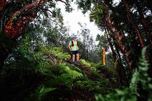 BIB: 
                            <button type="button" onclick="openModal(26205544)" class="btn btn-primary btn-sm float-right btn-popup" data-toggle="modal" data-target=".modal-high-quality">
                        <i class="fas fa-shopping-cart"></i> Add to Cart
                    </button>
                                            <button type="button" onclick="isThisMe(26205544, true)" class="btn btn-success btn-sm float-right btn-popup btn-isme hidden" data-toggle="tooltip" data-placement="bottom" title="นี่คือรูปของคุณใช่ไหม คลิกที่นี่เพื่อเอาเข้าอัลบั้ม">
                        <i class="fas fa-plus"></i> Add to album
                    </button>
                    <button type="button" onclick="isThisMe(26205544, false)" class="btn btn-warning btn-sm float-right btn-popup btn-isnotme hidden">
                        <i class="fas fa-ban"></i> Remove from album
                    </button>